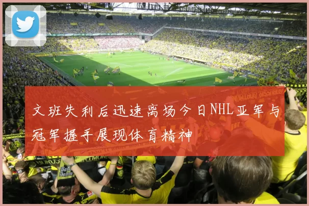 文班失利后迅速离场今日NHL亚军与冠军握手展现体育精神